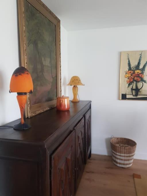 Chaumiere Avec Sa Toiture Recouverte De Chaume !!! Donnemain-Saint-Mames Ngoại thất bức ảnh